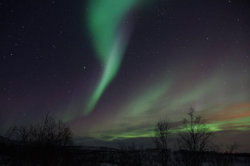 Aurora Borealis Vibes